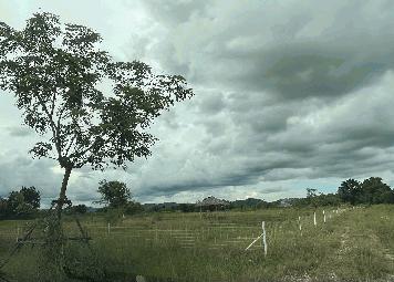 ขายที่ดินเปล่า ติดถนนใหญ่ ทำเลดี พร้อมสระเก็บน้ำส่วนตัว อ.บ้านโป่ง จ.ราชบุรี