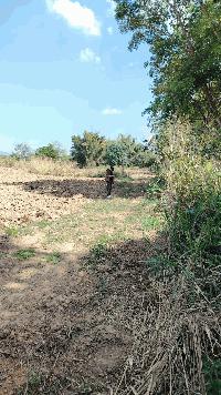 ขายที่ดินเปล่า12 ไร่ ทำเลสวย อากาศดี อำเภอภูเรือ จังหวัดเลย