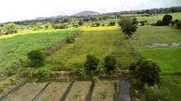 ขายที่ดินเปล่า ทำเลดี ติดถนนปูน ไฟฟ้าถึง จังหวัดสุพรรณบุรี