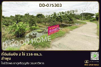 DD-075303 ที่ดินริมปิง 2 ไร่ 116 ตร.ว. ลำพูน ใกล้วัดพระธาตุหริภุญชัย วรมหาวิหาร