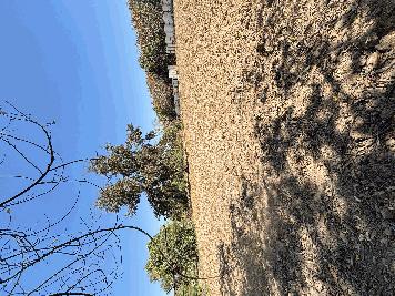 ขายที่ดินแปลงสวย ทำเลทอง อำเภอพนัสนิคม จังหวัดชลบุรี 