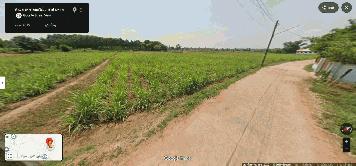 ขายที่ดินเปล่า ทำเลดี อำเภอ ชื่นชม มหาสารคาม