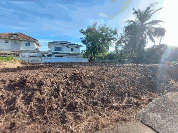 ขายที่ดินเปล่า ทำเลดี ย่านตลิ่งชัน กรุงเทพฯ