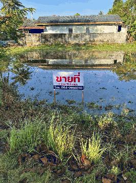 ขายที่ดินเปล่า ทำเลดี ใกล้ตลาด อ.เมือง พัทลุง