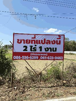 ขายที่ดินเปล่า ทำเลดี ใกล้ถนนเพชรเกษม – บ้านลาด เพชรบุรี