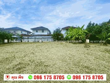 ขาย ที่ดิน 141.5 ตารางวา เสาธงหิน ซอย 17 บางใหญ่