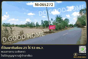 NI-065272 ที่ดินเขาหินซ้อน 25 ไร่ 53 ตร.ว. พนมสารคาม ฉะเชิงเทรา ใกล้วัดบุญญารามปู่เจ้าเขาเขียว