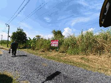 ขายที่ดินเเปลงสวย ลำลูกกาคลอง 12 ทำเลดี ใกล้ถนนหลัก พร้อมปลูกสร้าง