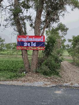 ขาย ที่ดินเปล่า 21ไร่66ตารางวา ตำบล หนองสะเดา สุพรรณบุรี