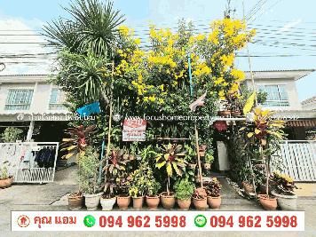 ขาย ทาวน์โฮม 2 ชั้น หมู่บ้านพฤกษาวิลล์ 43 พระราม5-นครอินทร์
