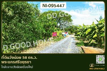 ที่ดินวังน้อย 58 ตร.ว. พระนครศรีอยุธยา ใกล้ตลาดวังน้อยเมืองใหม่ NI-095447